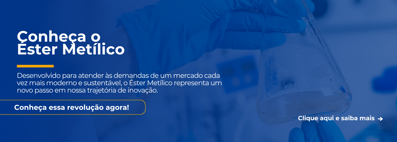 Banner do Site