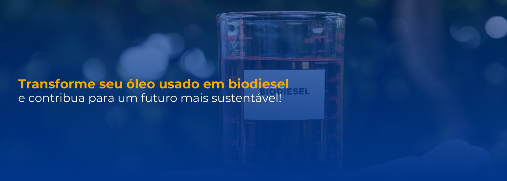 Banner do Site